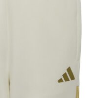 adidas Messi Hot lange Hose Kinder - owhite/iceblu