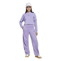 adidas Future Icons 3 Stripes Cropped Sweatshirt Kinder - maglil/tecprp