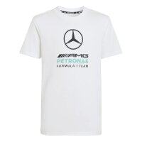 adidas Mercedes-AMG Petronas Formel 1 Team Dna Graphic...