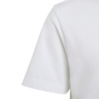 adidas Mercedes-AMG Petronas Formel 1 Team Dna Graphic T-Shirt Kinder - white