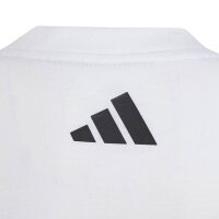 adidas Mercedes-AMG Petronas Formel 1 Team Dna Graphic T-Shirt Kinder - white