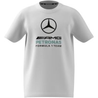 adidas Mercedes-AMG Petronas Formel 1 Team Dna Graphic T-Shirt Kinder - white