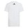adidas Mercedes-AMG Petronas Formel 1 Team Dna Graphic T-Shirt Kinder - white