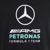 adidas Mercedes-AMG Petronas Formel 1 Team Dna Graphic T-Shirt Kinder - black