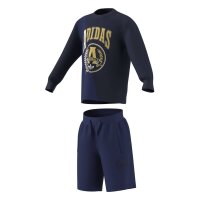 adidas LO Vrct Tee Set Kinder - nindig/vicblu/vicblu