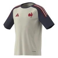 adidas Ffr Perf Tee Trikot Kinder - crewht/shanav