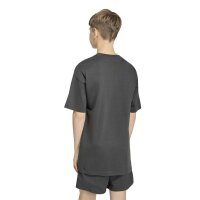 adidas SL 2 180 T-Shirt Kinder - grey six/black