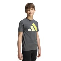 adidas Essentials T-Shirt Kinder - grey six/orbgry/frolem/