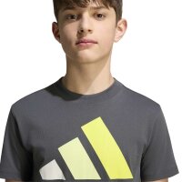 adidas Essentials T-Shirt Kinder - grey six/orbgry/frolem/