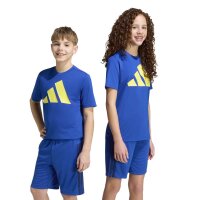adidas Train Essentials Big Logo T-Shirt Kinder - royblu/purlem