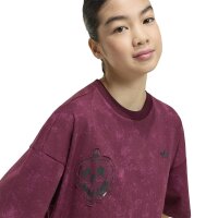 adidas Graphic T-Shirt Kinder - maroon