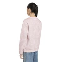 adidas Graphic Crew Sweatshirt Kinder - orcfus