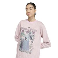 adidas Graphic Crew Sweatshirt Kinder - orcfus