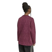 adidas Graphic Crew T-Shirt Kinder - maroon