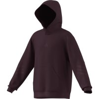 adidas FI 3-Stripes Hoodie Kinder - maroon/maroon