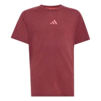 adidas Spi ML T-Shirt Kinder - maroon/purtur/purtur