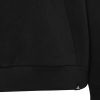 adidas Mercedes-AMG Petronas F1 Team Lon Hoodie Kinder - black