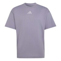 adidas SL 2 180 T-Shirt Kinder - slate/glogry