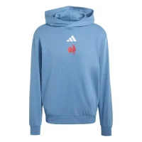 adidas Ffr Hoodie Herren - duin