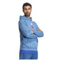 adidas Ffr Hoodie Herren - duin