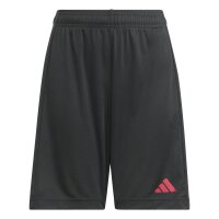 adidas Sereno kurze Hose Kinder - black/purrub
