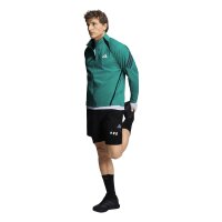 adidas Adi365 Running Iconic Formotion Jacken Herren - eqtgrn/black