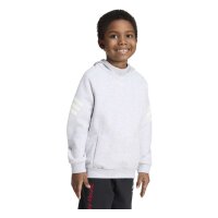 adidas Disney Mickey Mouse Hoodie Kinder - lgreyh/owhite