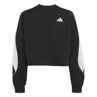 adidas Stadium Sweatshirt Kinder - black/owhite
