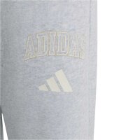 adidas Seasonals Collegiate Typography lange Hose Kinder - lgreyh