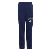 adidas Seasonals Collegiate Typography lange Hose Kinder...