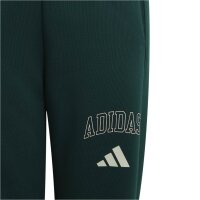 adidas Seasonals Collegiate Typography lange Hose Kinder - cgreen