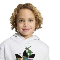 adidas LO Hoodie Set Kinder - lgreyh