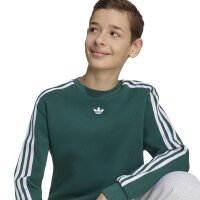 adidas Loose Sweatshirt Kinder - cgreen