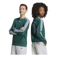 adidas Loose Sweatshirt Kinder - cgreen