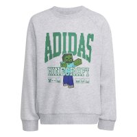 adidas Minecraft Training Jogger Set Kinder - lgreyh