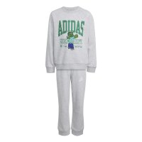 adidas Minecraft Training Jogger Set Kinder - lgreyh
