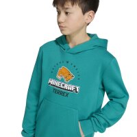 adidas Minecraft Terrex Hoodie Kinder - eqtgrn