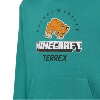 adidas Minecraft Terrex Hoodie Kinder - eqtgrn