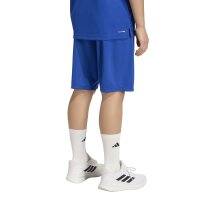 adidas Train Essentials Big Logo kurze Hose Kinder - royblu/purlem