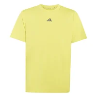 adidas Train Essentials Logo Regular Fit T-Shirt Kinder -...