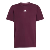 adidas Train Essentials Logo Regular Fit T-Shirt Kinder -...