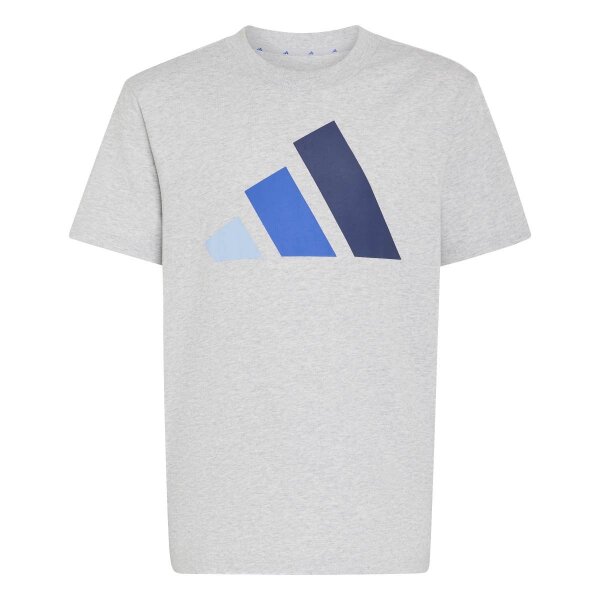 adidas Essentials T-Shirt Kinder - lgreyh/globlu/royblu/