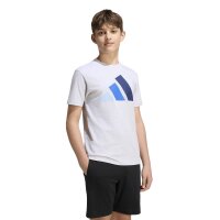 adidas Essentials T-Shirt Kinder - lgreyh/globlu/royblu/