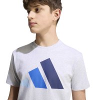 adidas Essentials T-Shirt Kinder - lgreyh/globlu/royblu/