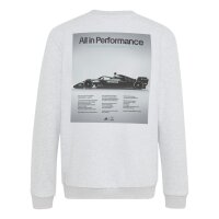 adidas Mercedes-AMG Petronas F1 Team Graphic 04Y Sweatshirt Kinder - lgreyh/semiru