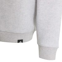 adidas Mercedes-AMG Petronas F1 Team Graphic 04Y Sweatshirt Kinder - lgreyh/semiru