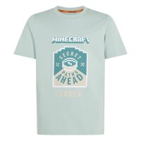 adidas Minecraft Terrex T-Shirt Kinder - hazgrn