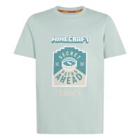 adidas Minecraft Terrex T-Shirt Kinder - hazgrn