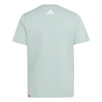 adidas Minecraft Terrex T-Shirt Kinder - hazgrn