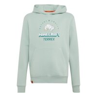adidas Minecraft Terrex Hoodie Kinder - hazgrn